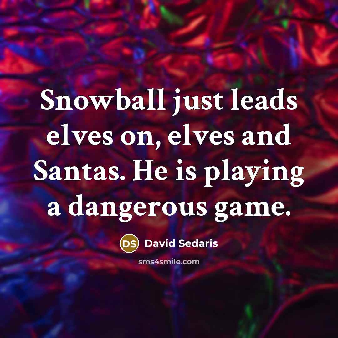 “Snowball just leads elves on, elves and Santas. He is…” quote by David Sedaris