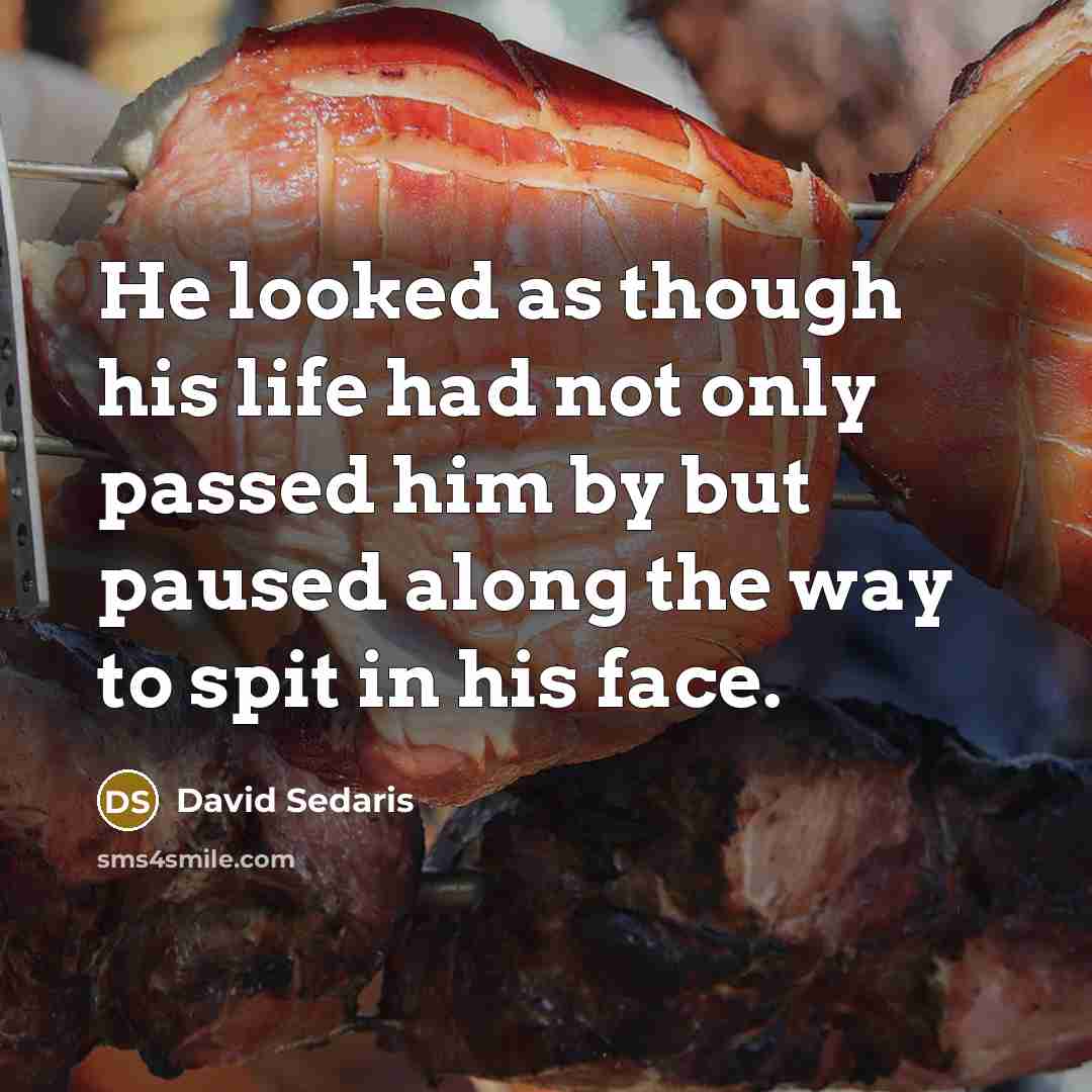 “He looked as though his life had not only passed…” quote by David Sedaris