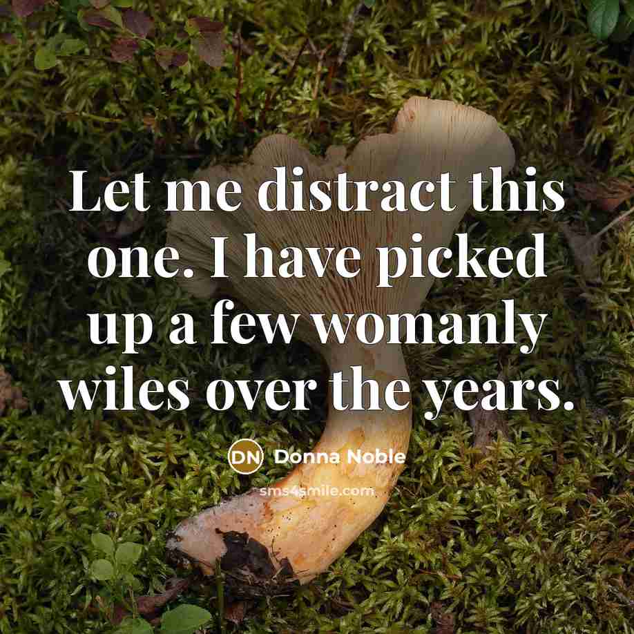 “Let me distract this one. I have picked up a few womanly wiles over the years.” quote by Donna Noble