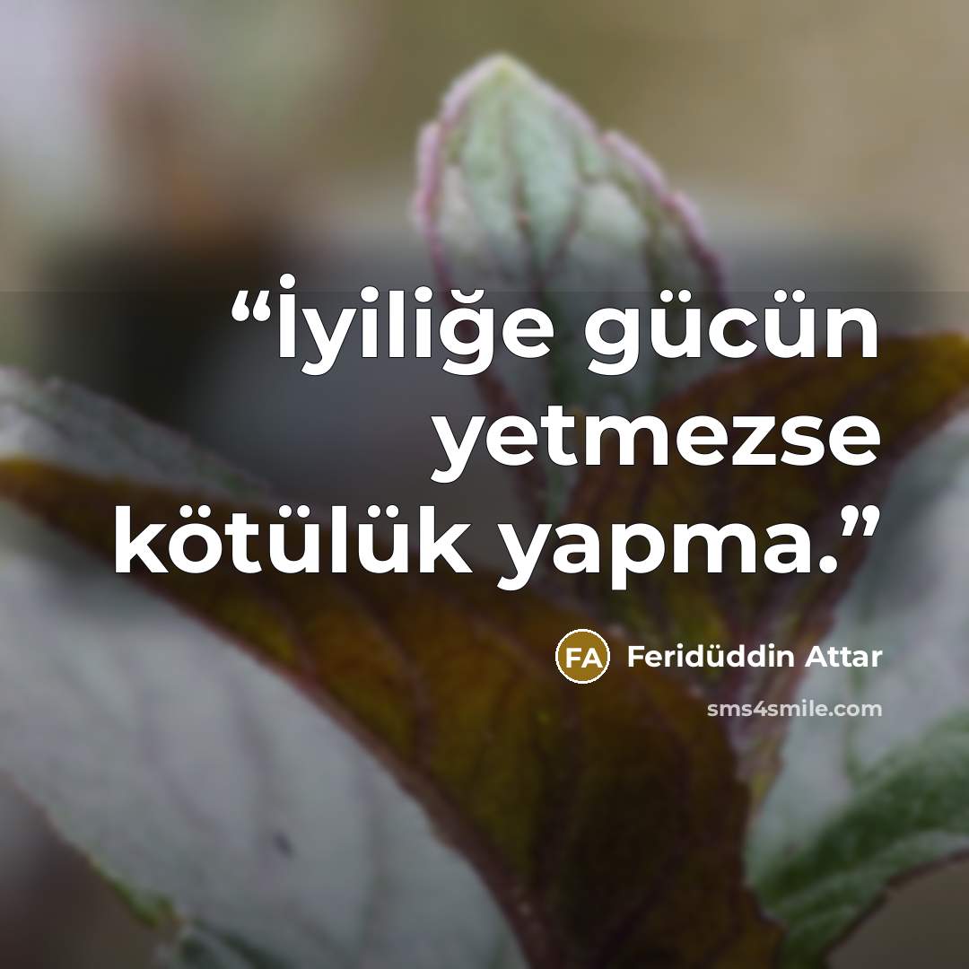 “İyiliğe gücün yetmezse kötülük yapma.” quote by Feridüddin Attar