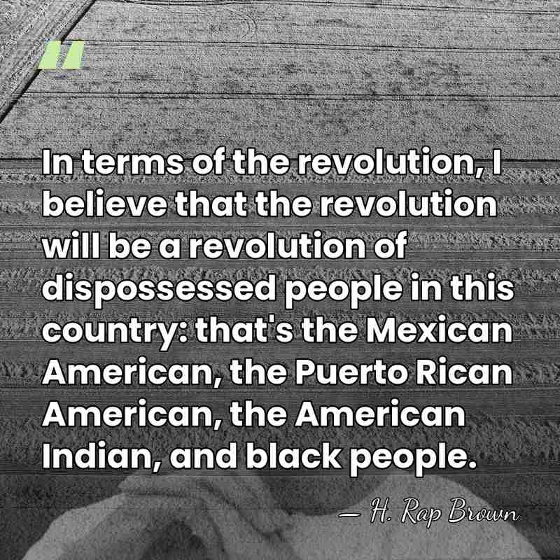In terms of the revolution, I believe that the revolution will be&hellip; - H. Rap Brown