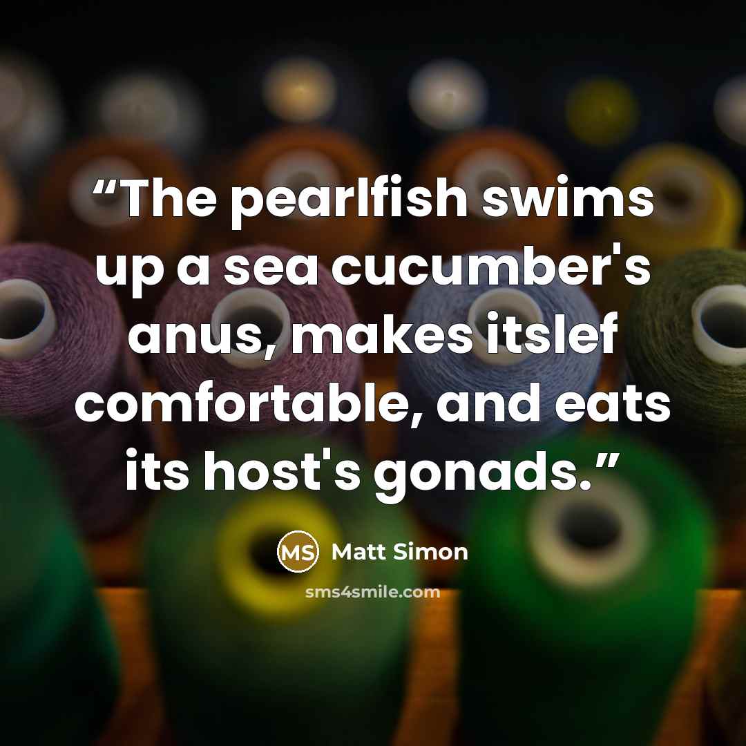 “The pearlfish swims up a sea cucumber's anus, makes itslef comfortable, and eats its host's gonads.” quote by Matt Simon