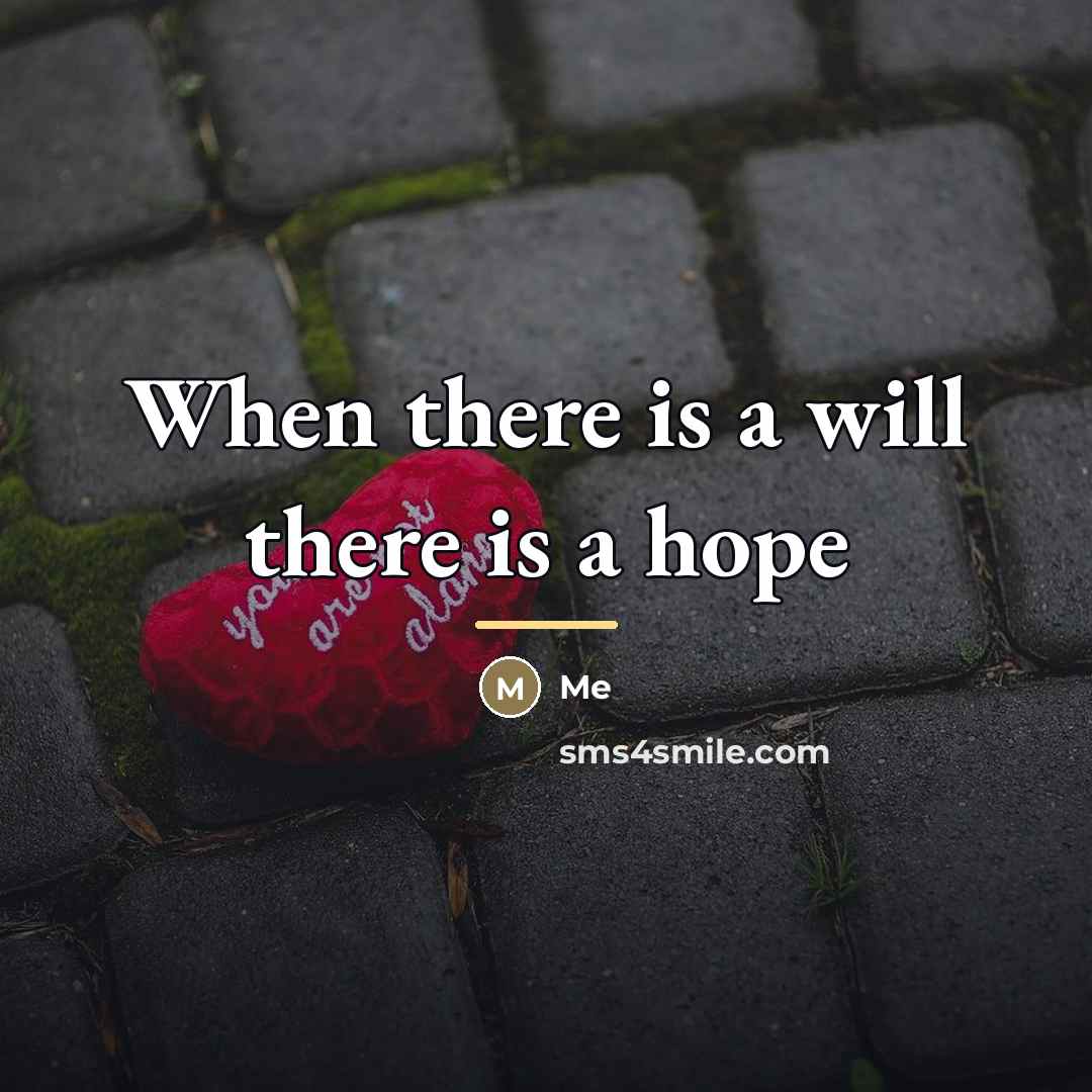 “When there is a will there is a hope…” quote by Me