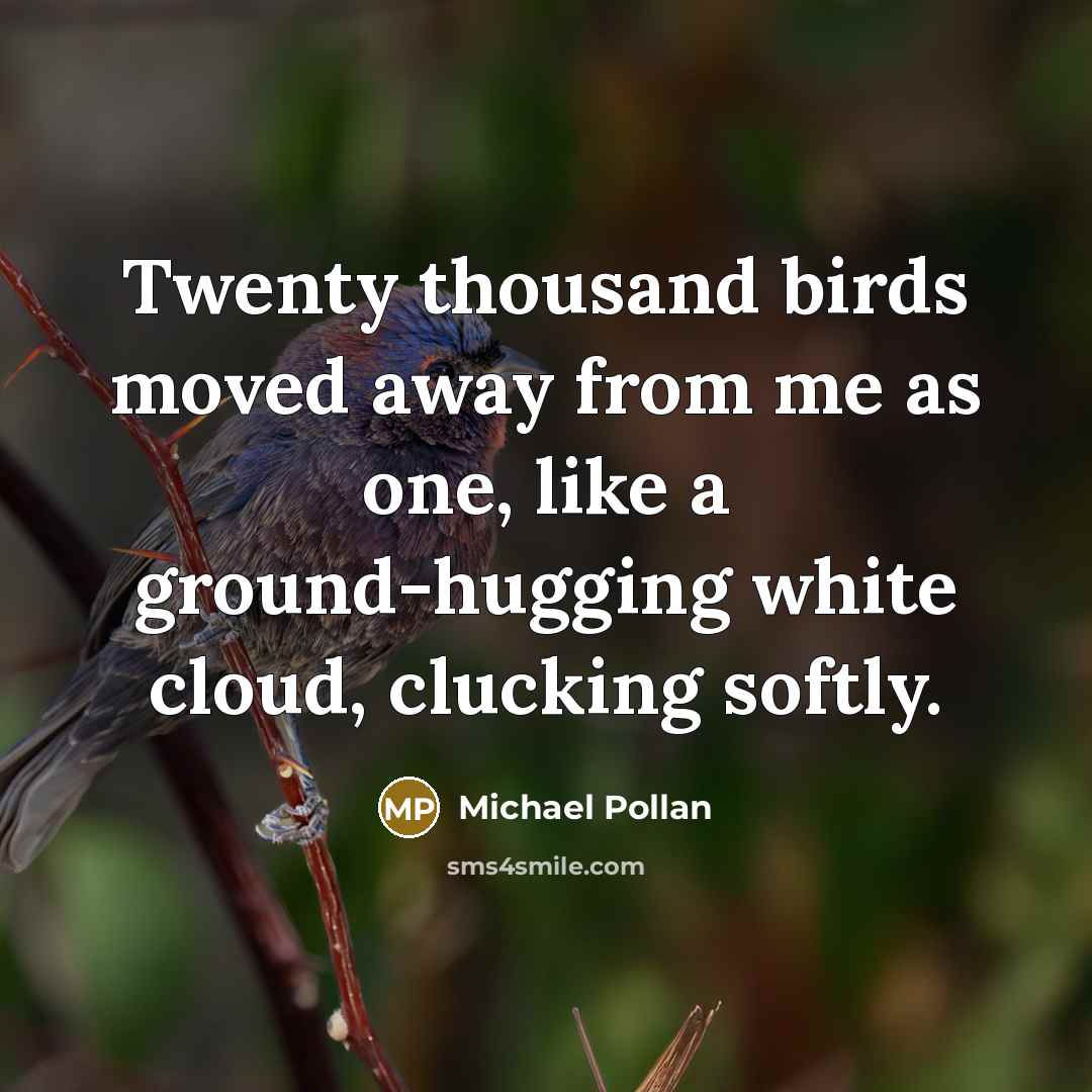 “Twenty thousand birds moved away from me as one, like…” quote by Michael Pollan