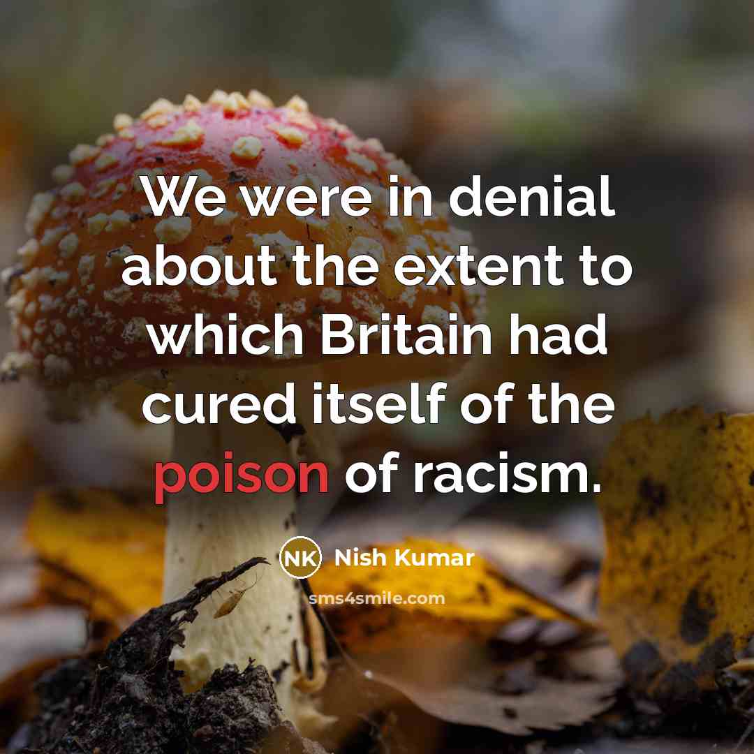 “We were in denial about the extent to which Britain…” quote by Nish Kumar