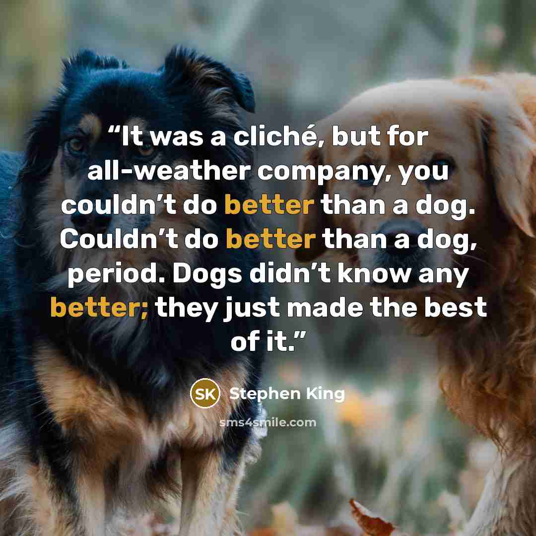 “It was a cliché, but for all-weather company, you couldn’t do better than a dog. Couldn’t do better than a dog, period. Dogs didn’t know any better; they just made the best of it.” quote by Stephen King