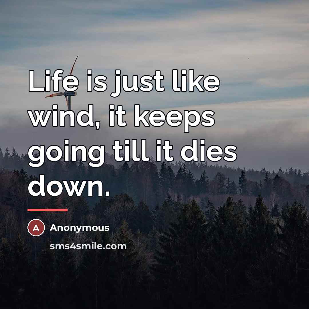 “Life is just like wind, it keeps going till it…” quote by Anonymous