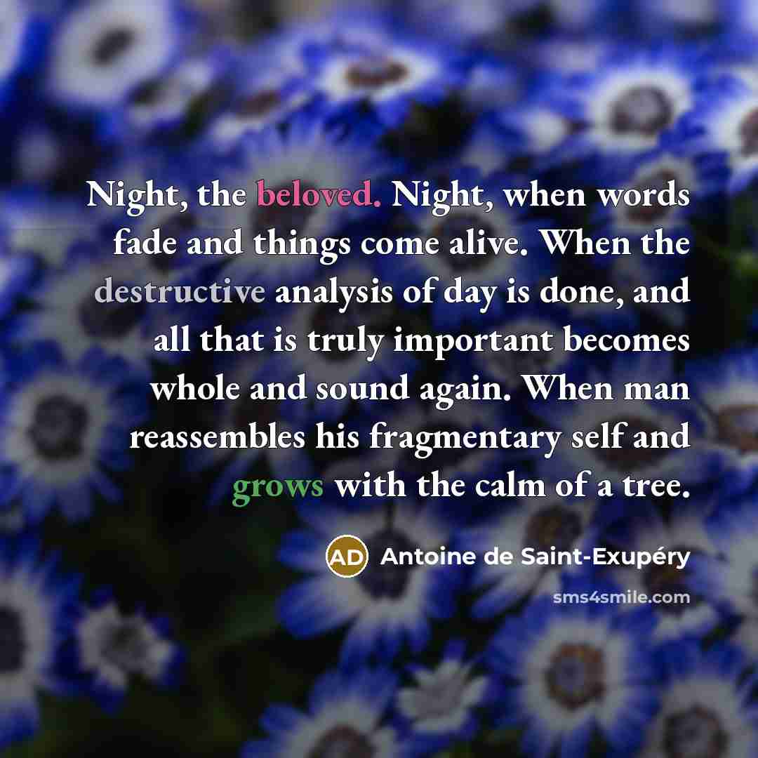 “Night, the beloved. Night, when words fade and things come…” quote by Antoine de Saint-Exupery