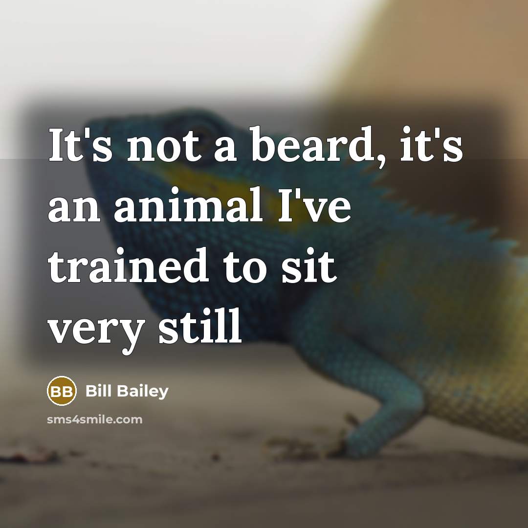 “It's not a beard, it's an animal I've trained to…” quote by Bill Bailey