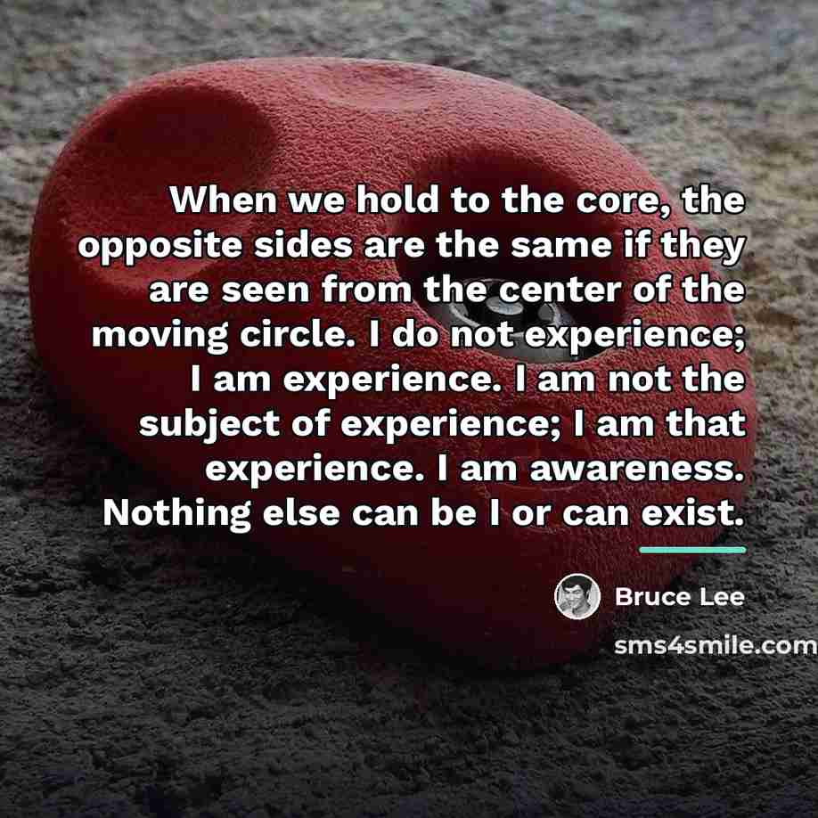 “When we hold to the core, the opposite sides are…” quote by Bruce Lee