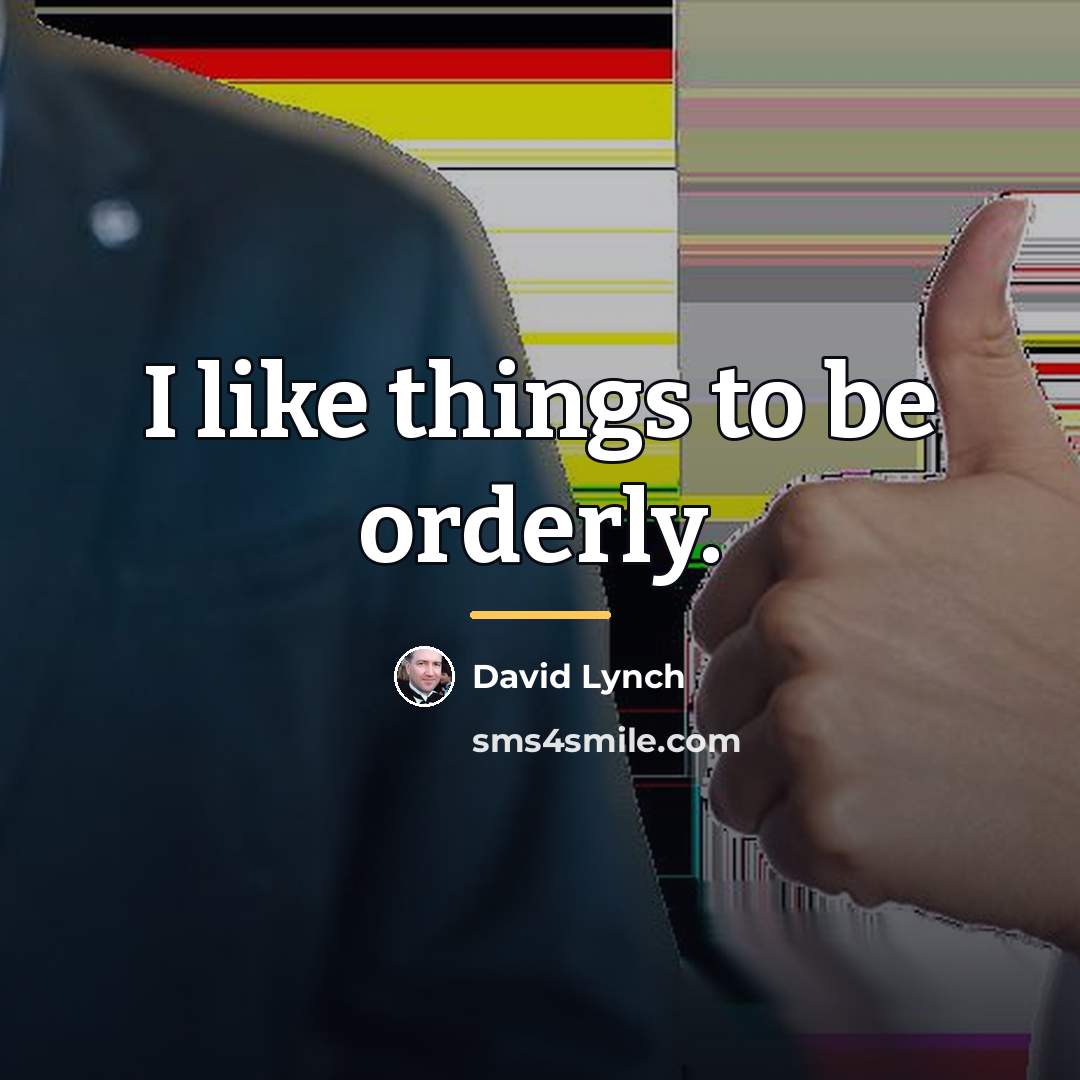 “I like things to be orderly.…” quote by David Lynch