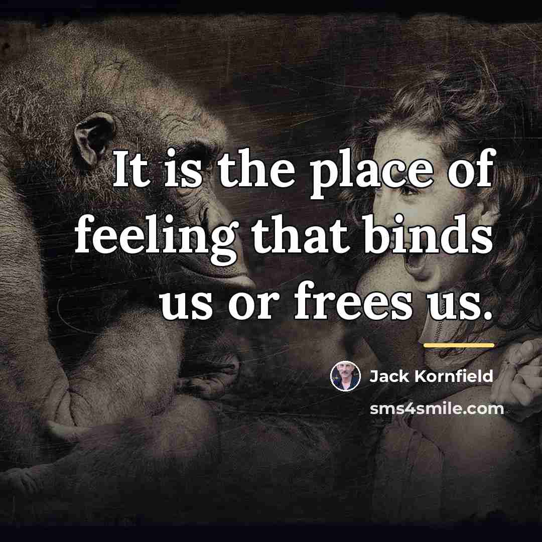 “It is the place of feeling that binds us or…” quote by Jack Kornfield