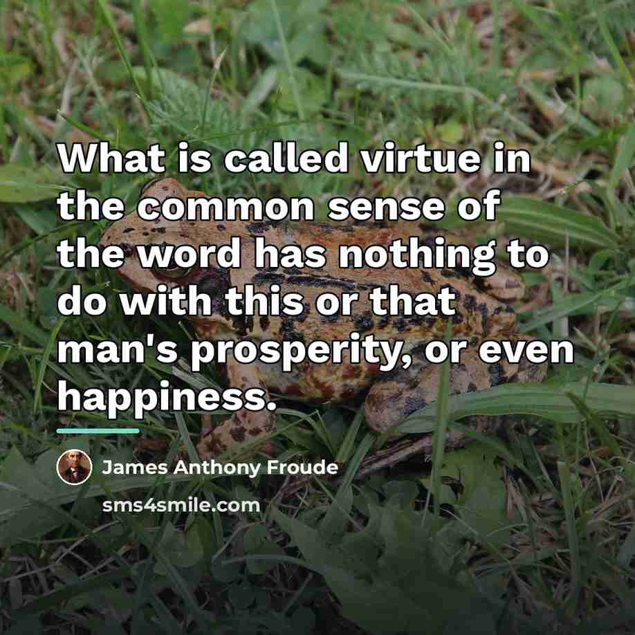 “What is called virtue in the common sense of the…” quote by James Anthony Froude