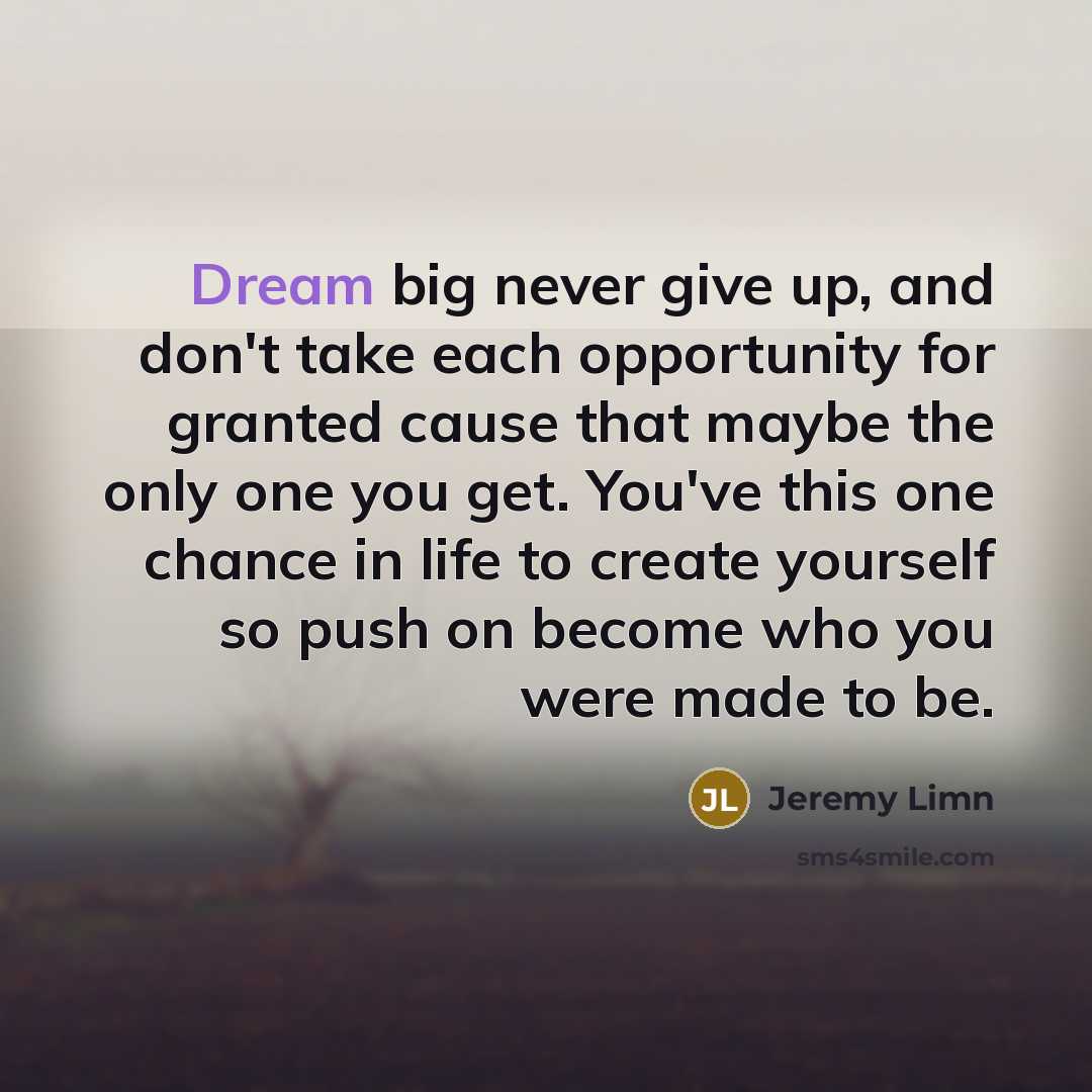 “Dream big never give up, and don't take each opportunity…” quote by Jeremy Limn