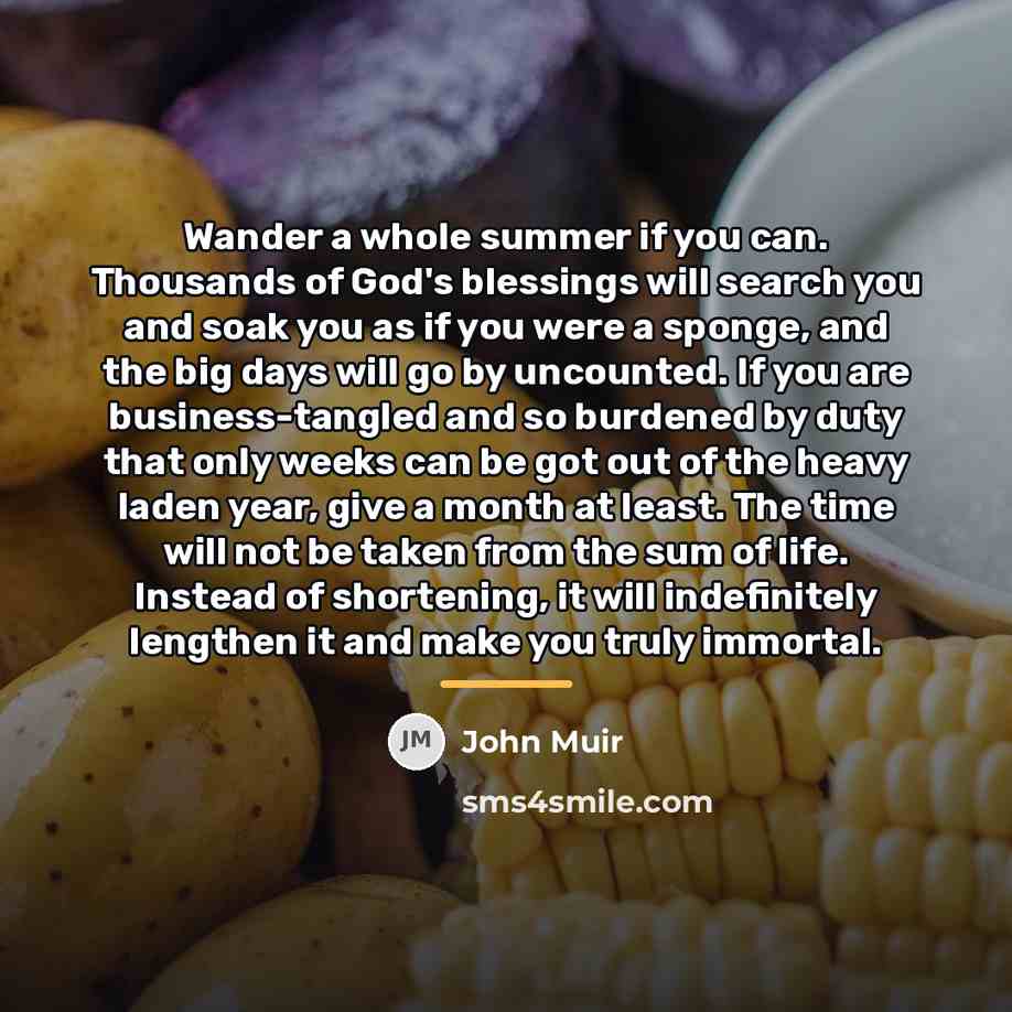“Wander a whole summer if you can. Thousands of God's…” quote by John Muir