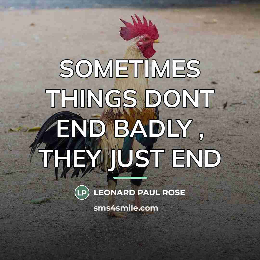“SOMETIMES THINGS DONT END BADLY , THEY JUST END…” quote by LEONARD PAUL ROSE