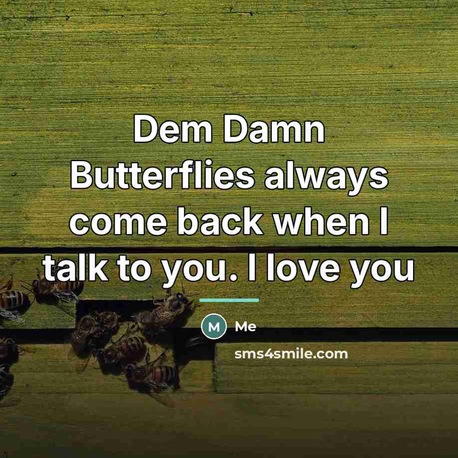 “Dem Damn Butterflies always come back when I talk to…” quote by Me