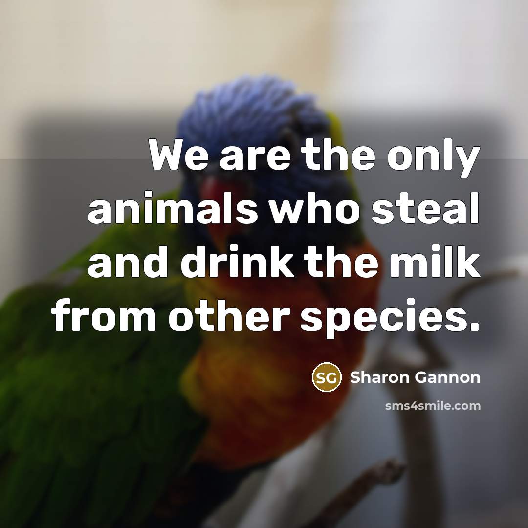 “We are the only animals who steal and drink the…” quote by Sharon Gannon