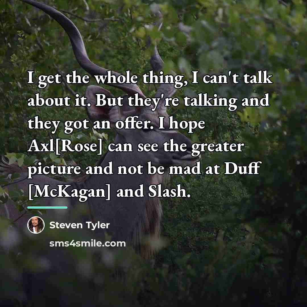 “I get the whole thing, I can't talk about it.…” quote by Steven Tyler