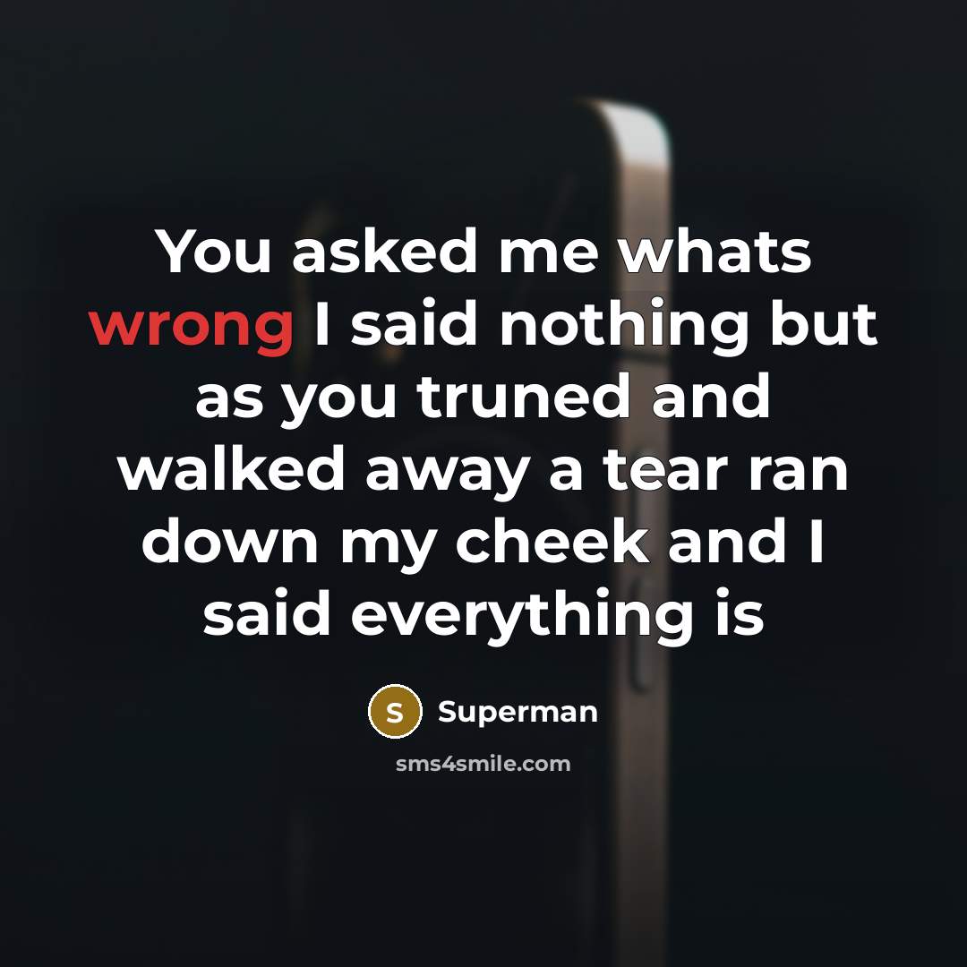 “You asked me whats wrong I said nothing but as…” quote by Superman