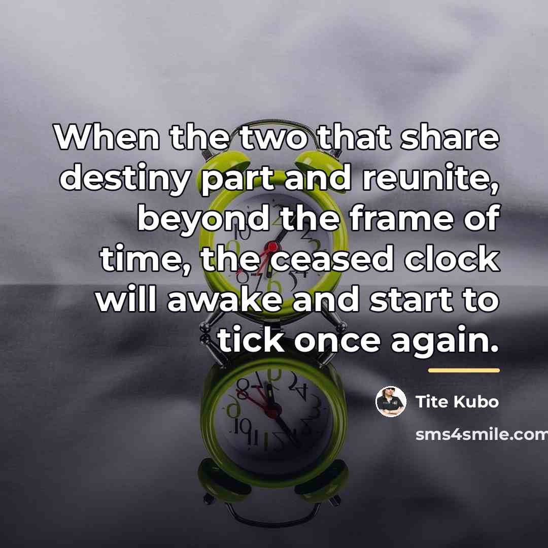 “When the two that share destiny part and reunite, beyond…” quote by Tite Kubo