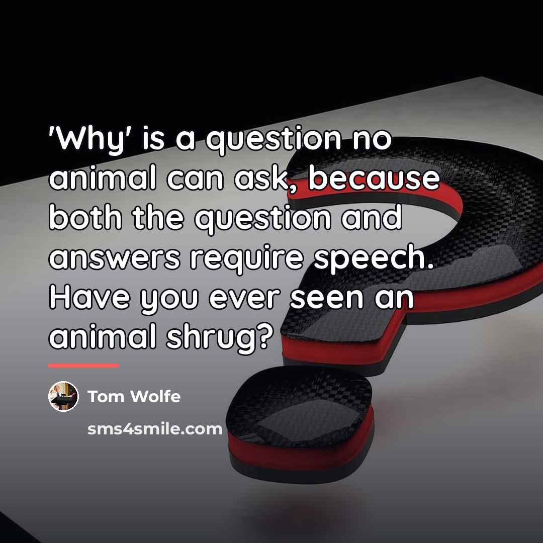 “'Why' is a question no animal can ask, because both…” quote by Tom Wolfe