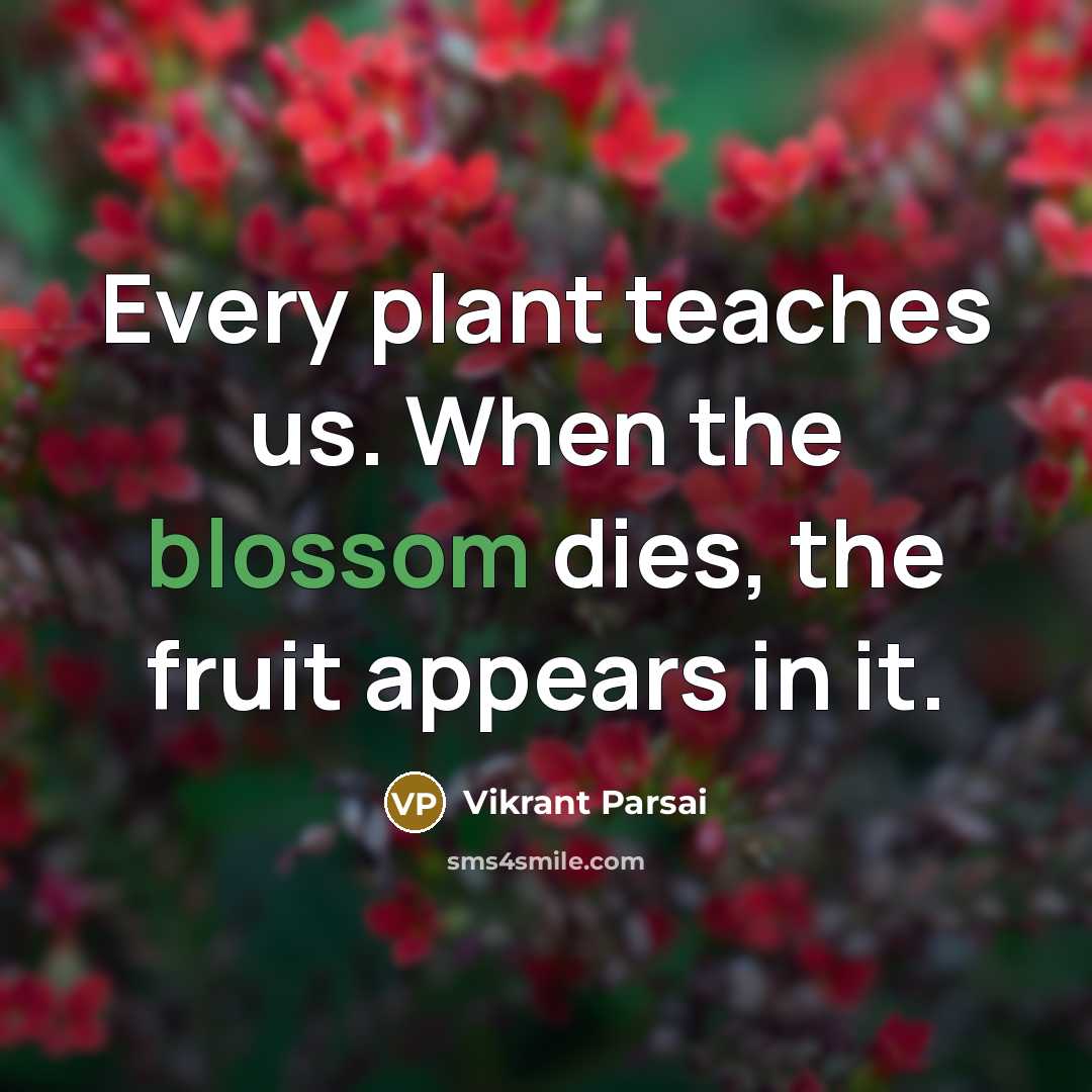 “Every plant teaches us. When the blossom dies, the fruit…” quote by Vikrant Parsai