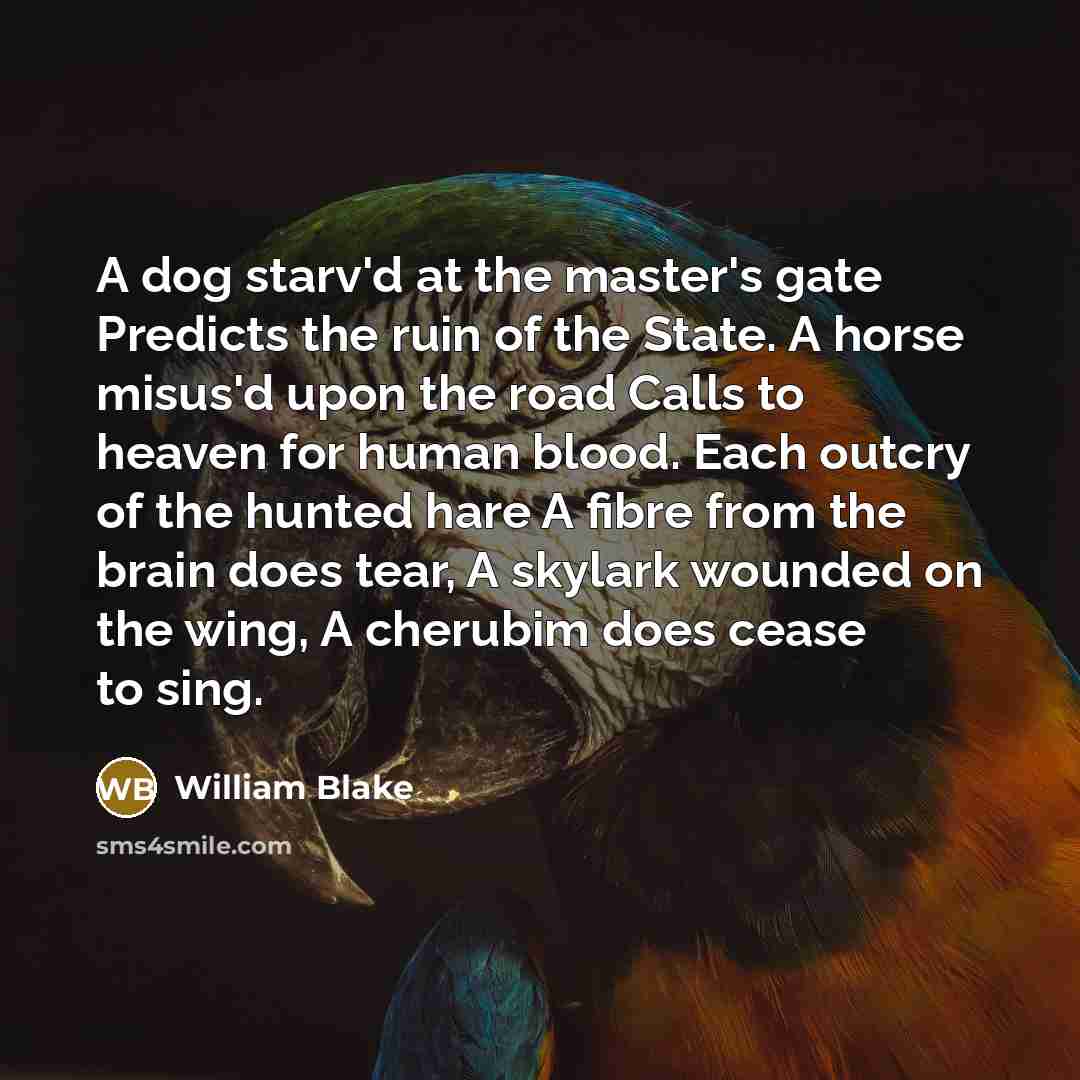 “A dog starv'd at the master's gate Predicts the ruin…” quote by William Blake