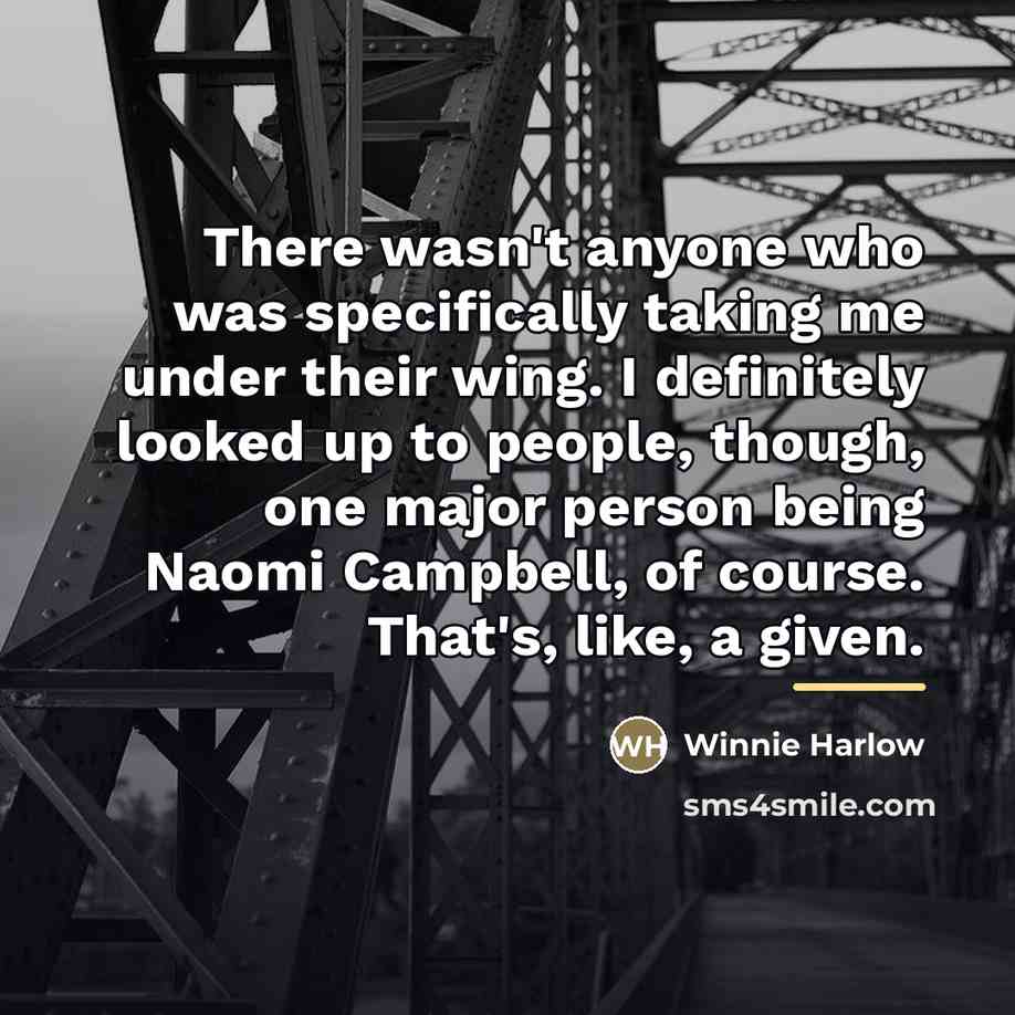 “There wasn't anyone who was specifically taking me under their…” quote by Winnie Harlow