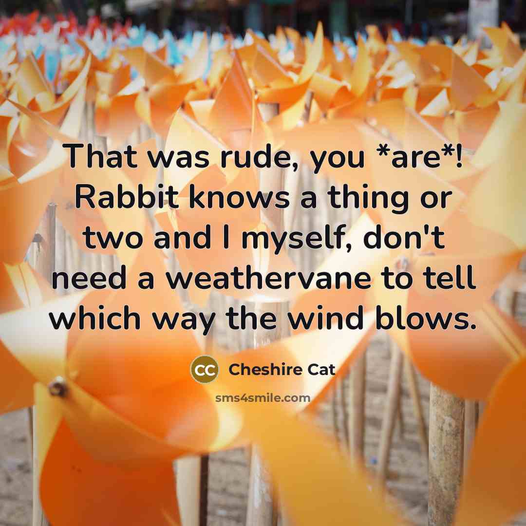 “That was rude, you *are*! Rabbit knows a thing or…” quote by Cheshire Cat