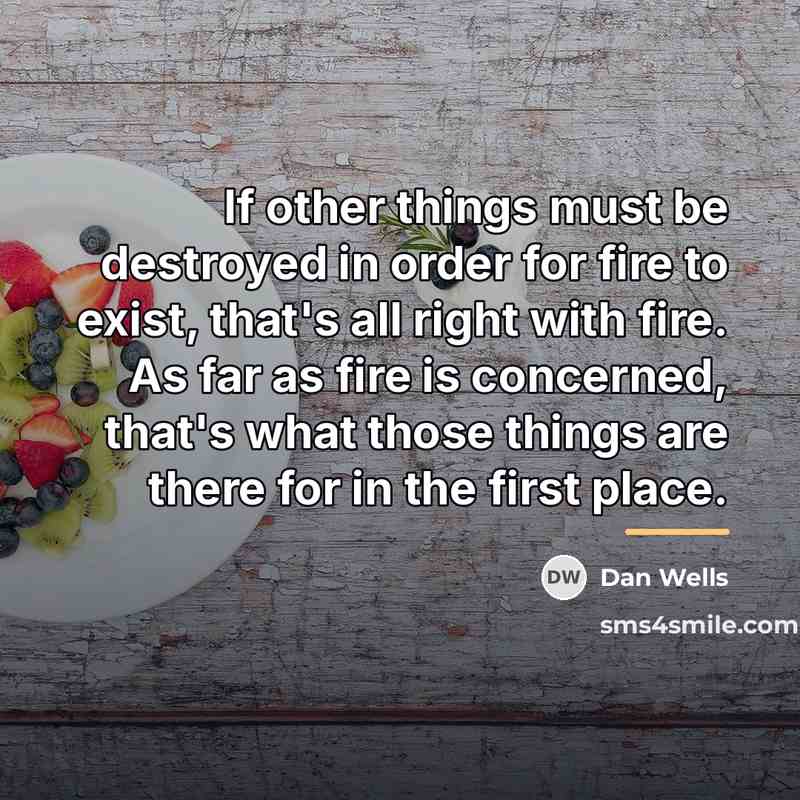 “If other things must be destroyed in order for fire…” quote by Dan Wells