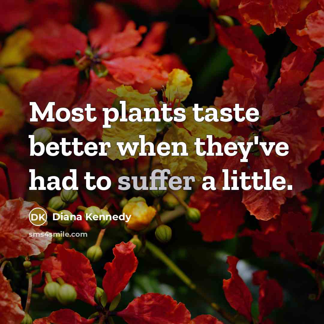 “Most plants taste better when they've had to suffer a…” quote by Diana Kennedy