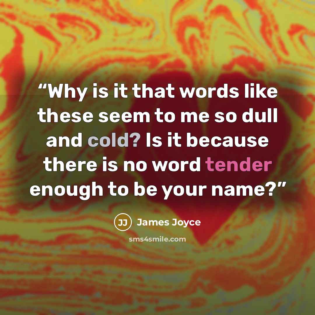 “Why is it that words like these seem to me so dull and cold? Is it because there is no word tender enough to be your name?” quote by James Joyce
