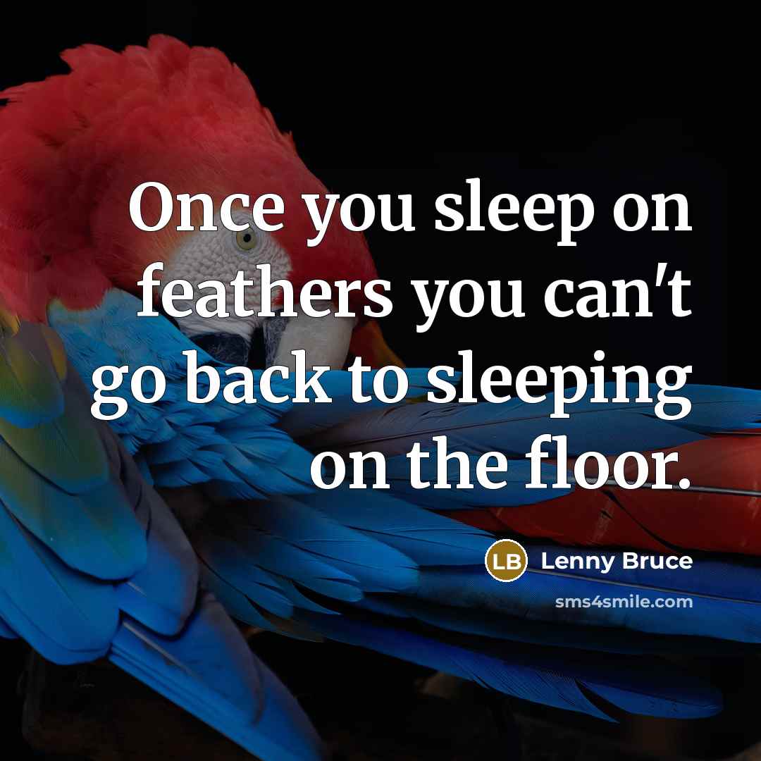 “Once you sleep on feathers you can't go back to…” quote by Lenny Bruce