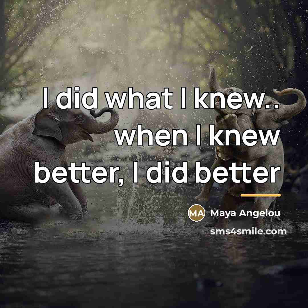 “I did what I knew.. when I knew better, I…” quote by Maya Angelou