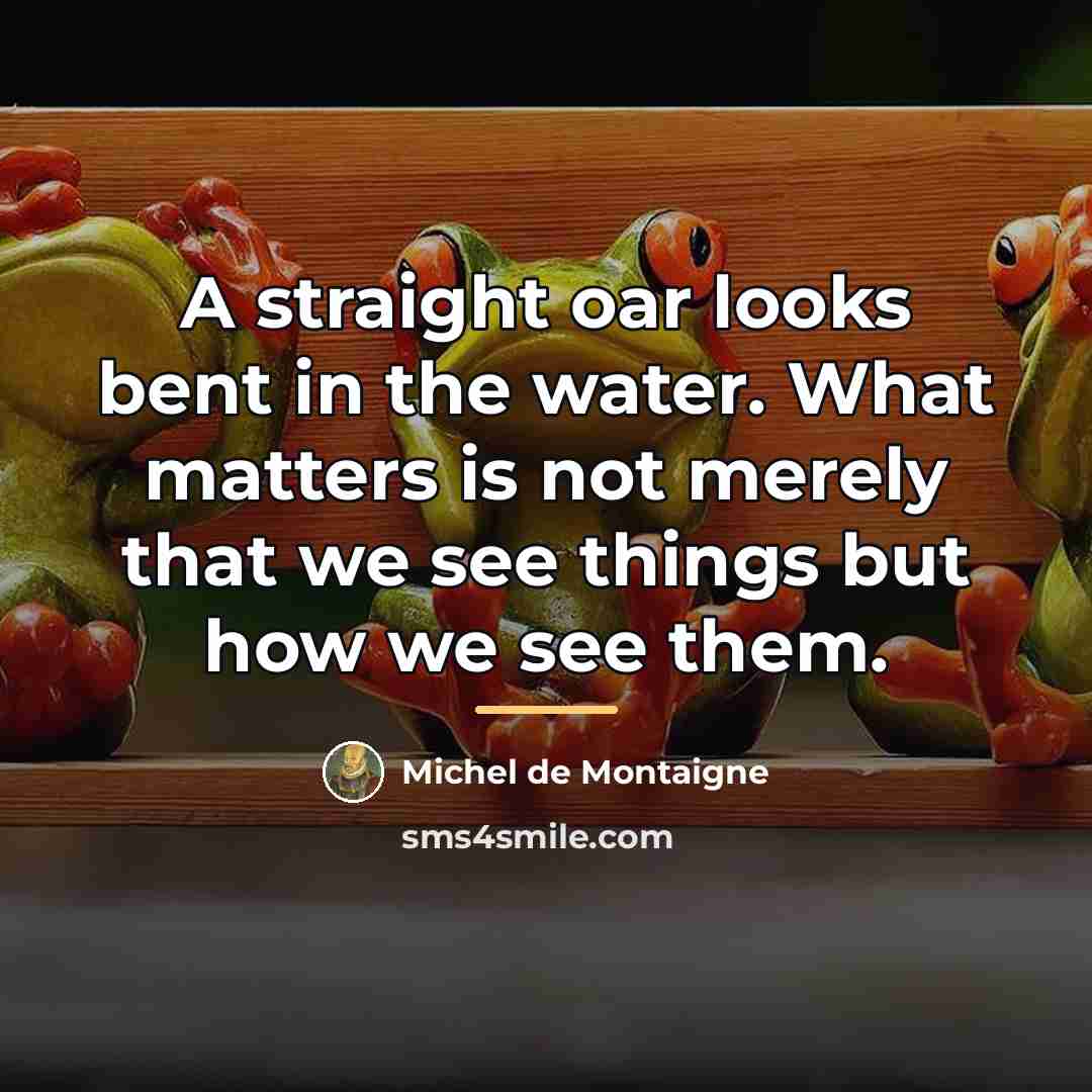 “A straight oar looks bent in the water. What matters…” quote by Michel de Montaigne