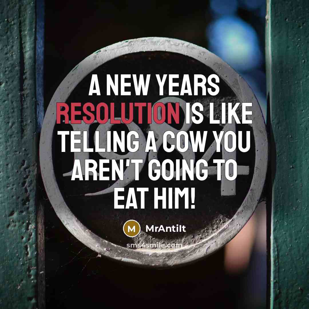 “A New Years resolution is like telling a cow you aren't going to eat him!” quote by MrAntiIt
