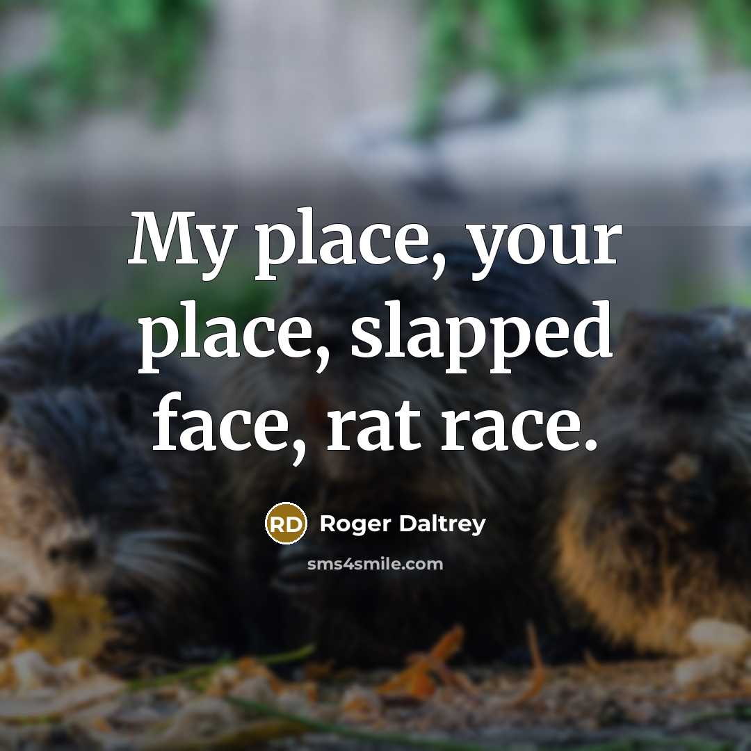 “My place, your place, slapped face, rat race.…” quote by Roger Daltrey