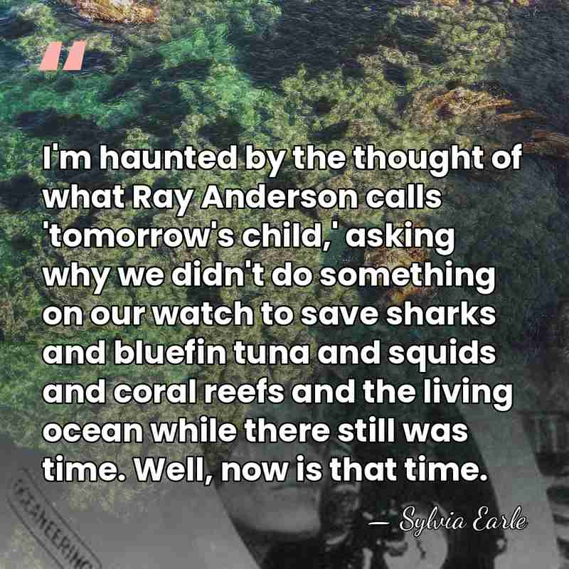 I'm haunted by the thought of what Ray Anderson calls 'tomorrow's child,'&hellip; - Sylvia Earle