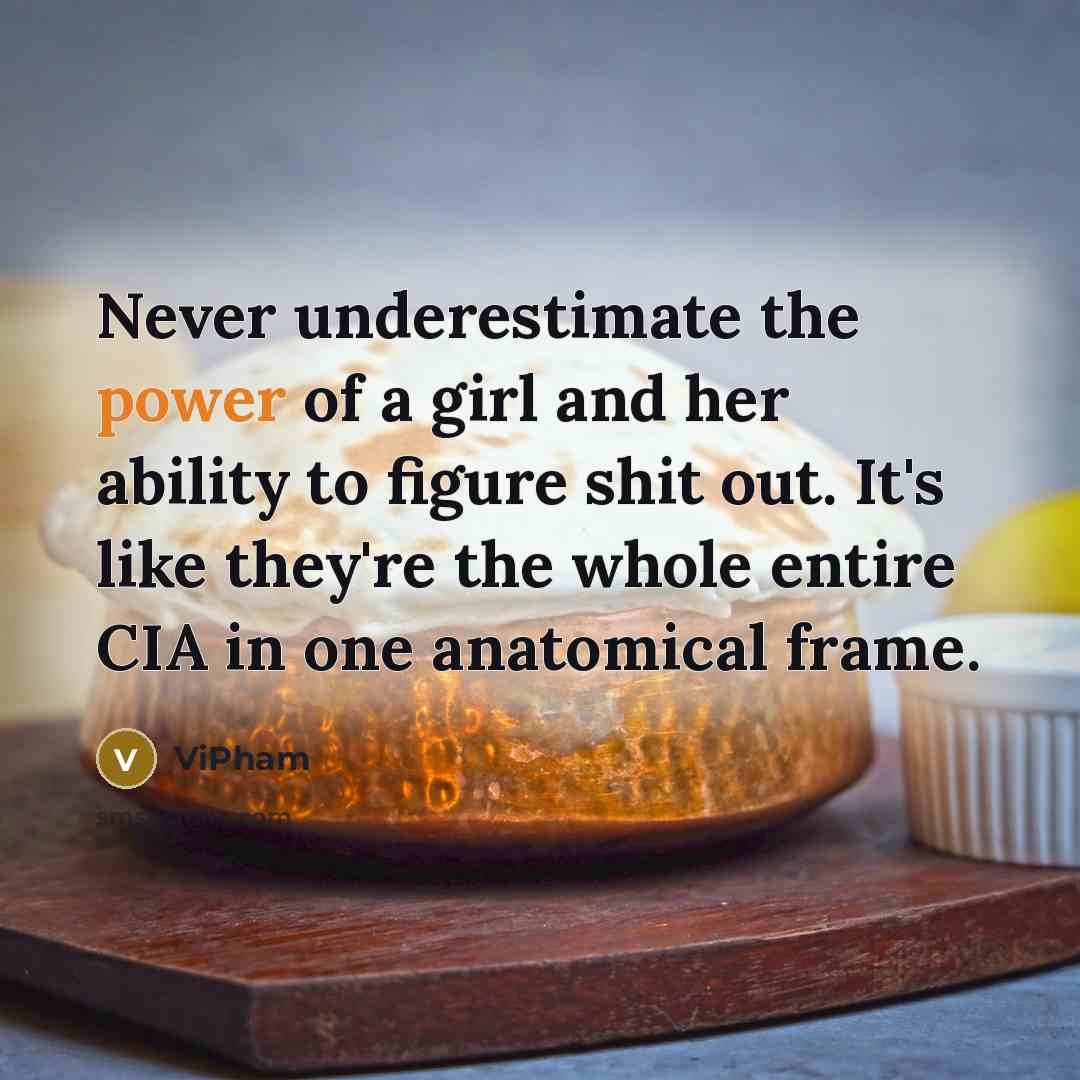 “Never underestimate the power of a girl and her ability to figure shit out. It's like they're the whole entire CIA in one anatomical frame.” quote by ViPham