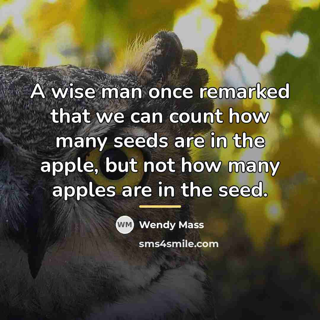 “A wise man once remarked that we can count how…” quote by Wendy Mass