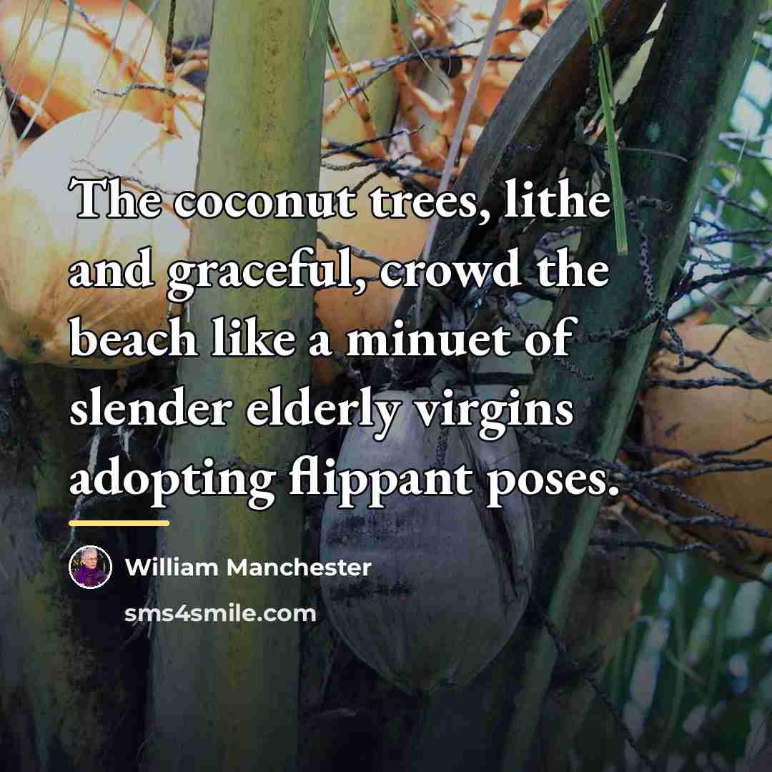 “The coconut trees, lithe and graceful, crowd the beach like…” quote by William Manchester