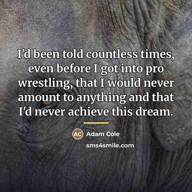 “I'd been told countless times, even before I got into…” quote by Adam Cole