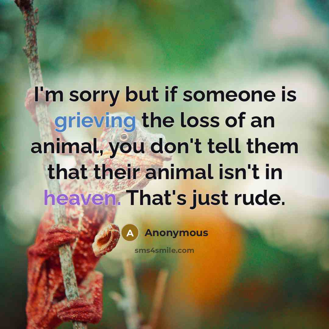 “I'm sorry but if someone is grieving the loss of an animal, you don't tell them that their animal isn't in heaven. That's just rude.” quote by Anonymous