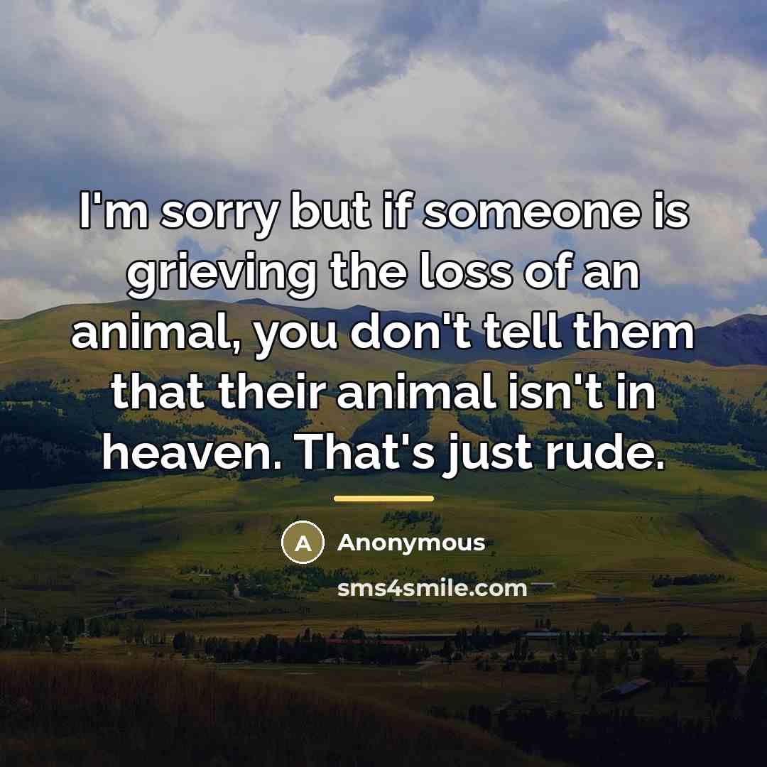 “I'm sorry but if someone is grieving the loss of an animal, you don't tell them that their animal isn't in heaven. That's just rude.” quote by Anonymous