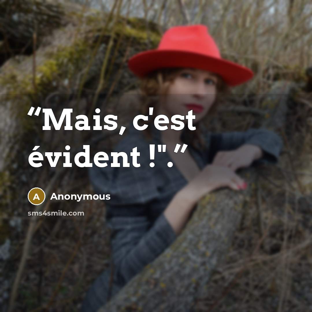 “Mais, c'est évident !".” quote by Anonymous