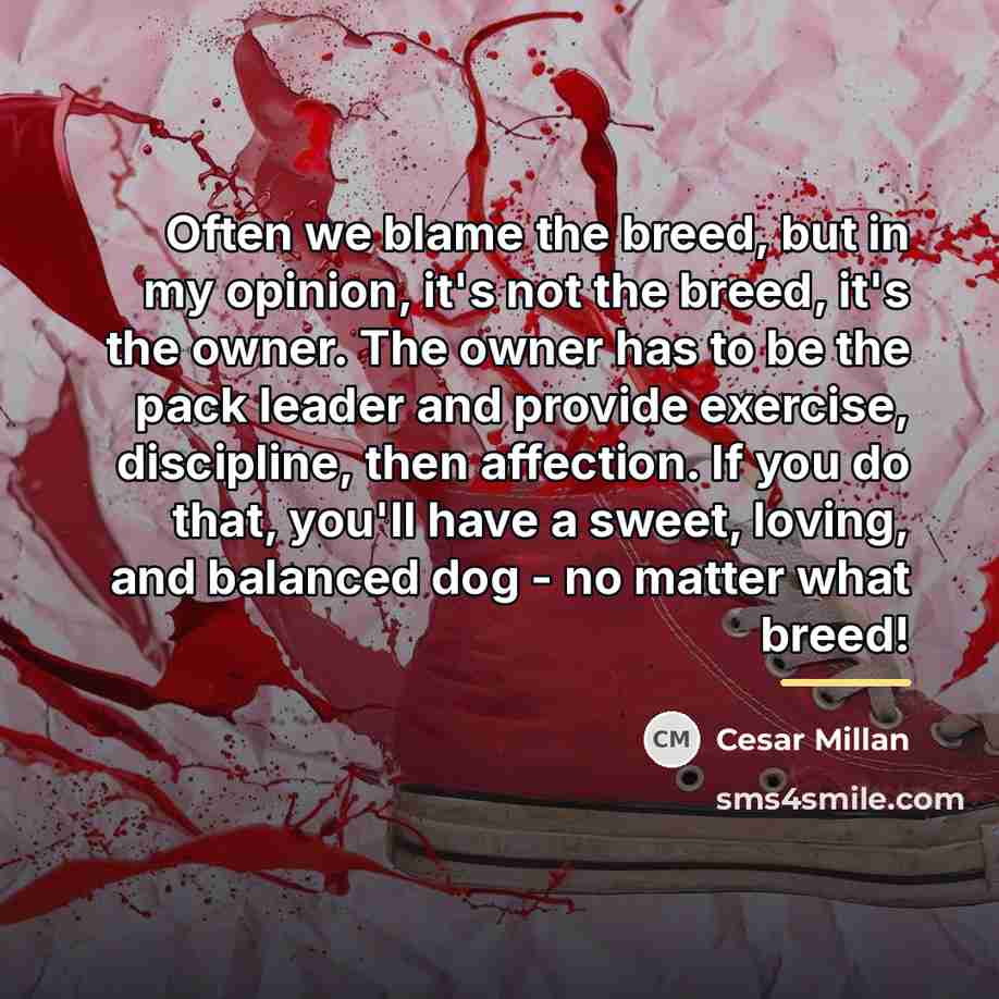“Often we blame the breed, but in my opinion, it's…” quote by Cesar Millan