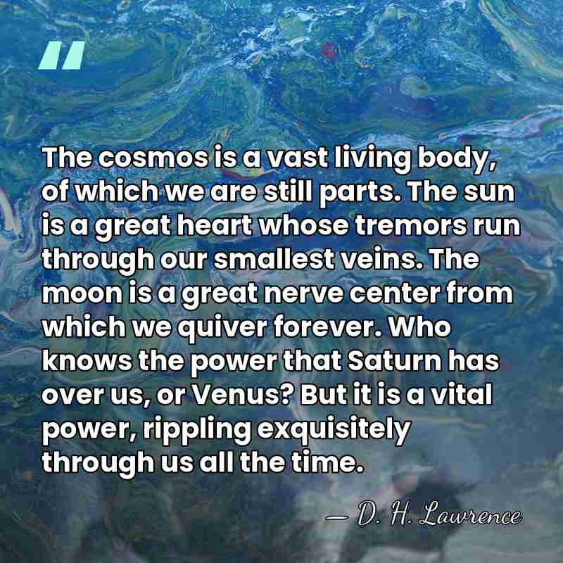 The cosmos is a vast living body, of which we are still&hellip; - D. H. Lawrence