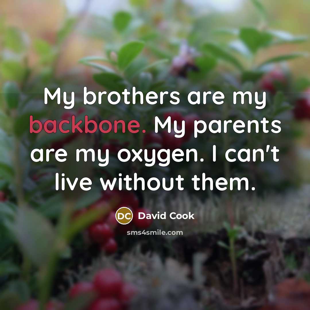 “My brothers are my backbone. My parents are my oxygen.…” quote by David Cook