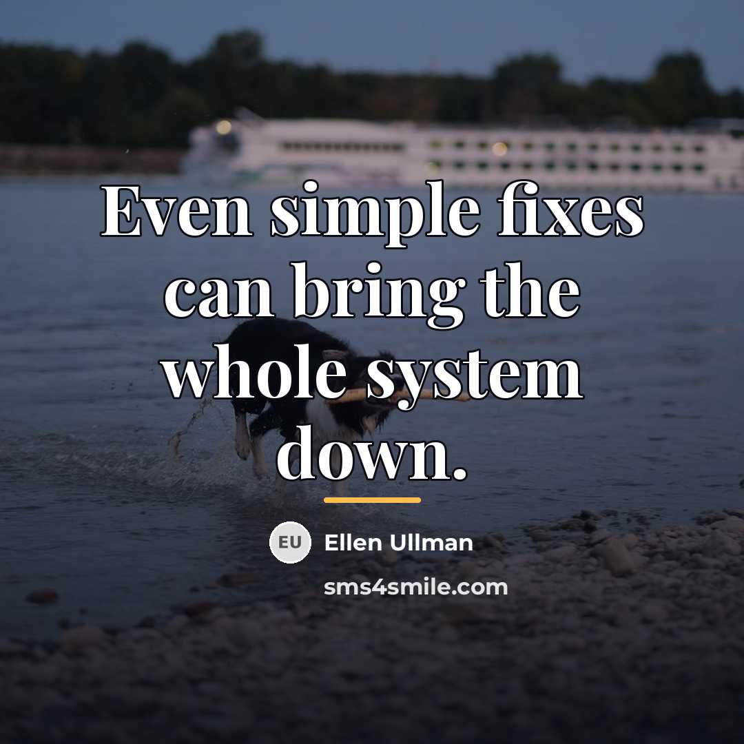 “Even simple fixes can bring the whole system down.…” quote by Ellen Ullman